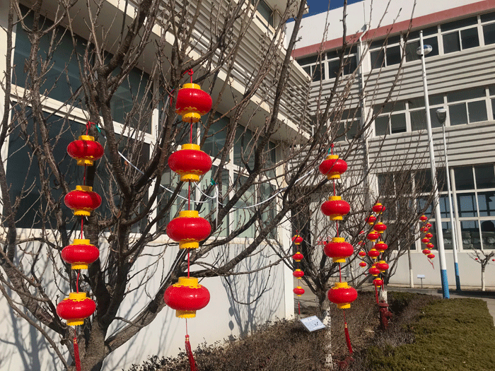 烟台MILAN体育·(中国)官方网站化工恭祝大家2021牛年行大运